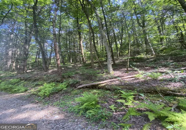 Land for sale at Hemlock Hemlock Trl, Blue Ridge, GA 30513 | MLS# 10833793