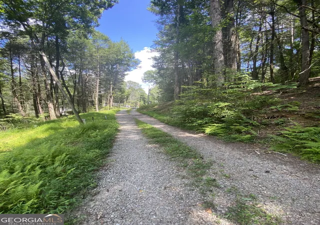 Photo 2 of Land for sale at Hemlock Hemlock Trl, Blue Ridge, GA 30513 | MLS# 10833793 | Listing updated on 2026-09-10