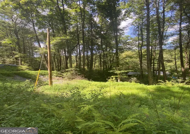 Photo 3 of Land for sale at Hemlock Hemlock Trl, Blue Ridge, GA 30513 | MLS# 10833793 | Listing updated on 2026-09-10