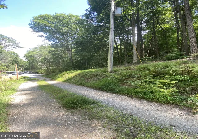 Photo 4 of Land for sale at Hemlock Hemlock Trl, Blue Ridge, GA 30513 | MLS# 10833793 | Listing updated on 2026-09-10