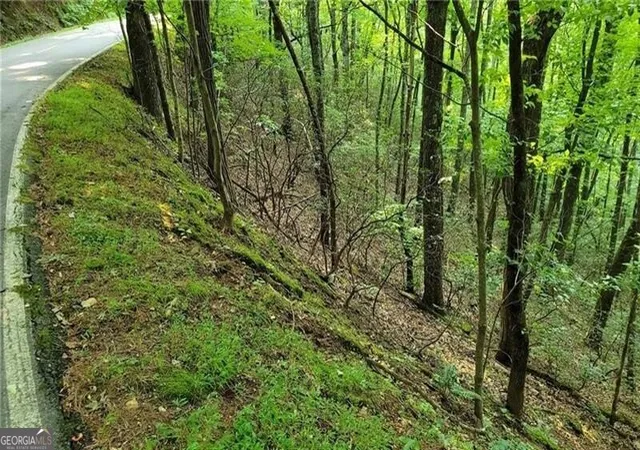 Photo 15 of Land for sale at 1012 Wild Turkey Blf, Jasper, GA 30143 | MLS# 10415591 | Listing updated on 2025-12-22