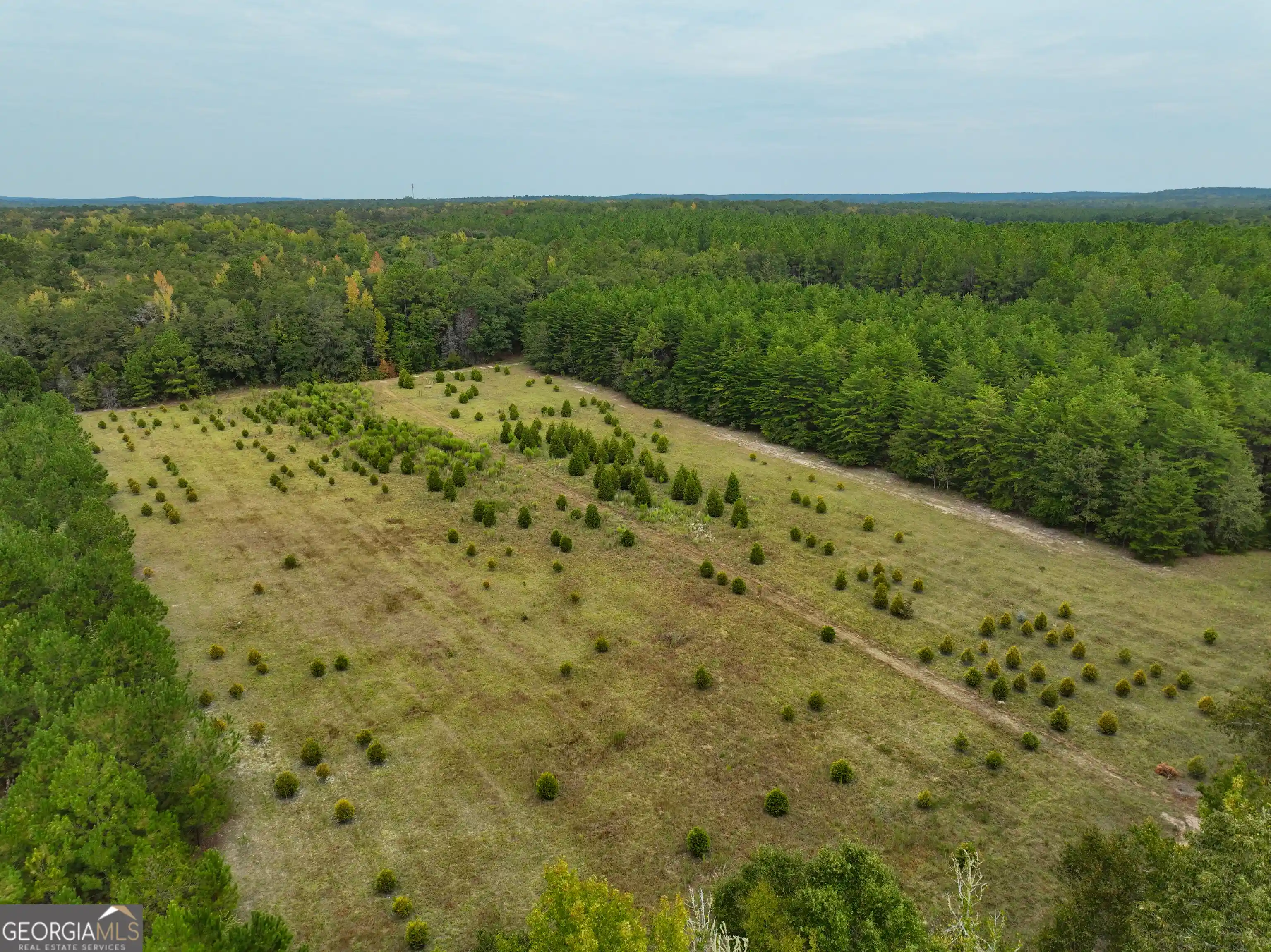 Land for sale at 5889 Hammock Rd, Macon, GA 31217 | MLS# 10854302