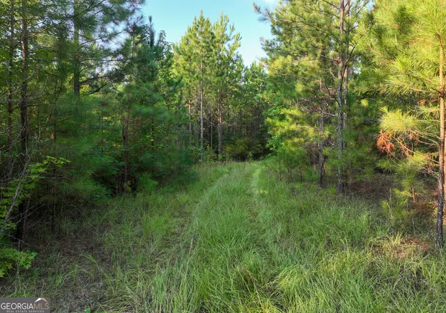 Photo 2 of House for sale at 110 & 200 Mccullar Weaver Rd, Milledgeville, GA 31061 | MLS# 10833799 | Listing updated on 2026-09-10