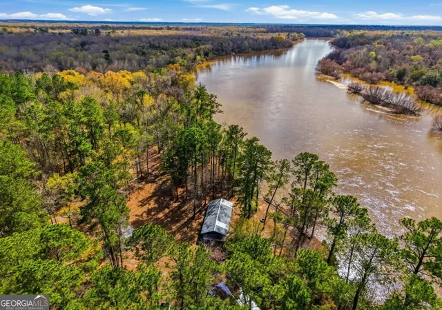 Homes for sale in Reidsville, GA | 0 Rivers Edge Rd/hwy 178, Reidsville, GA 30453 | MLS# 10732061