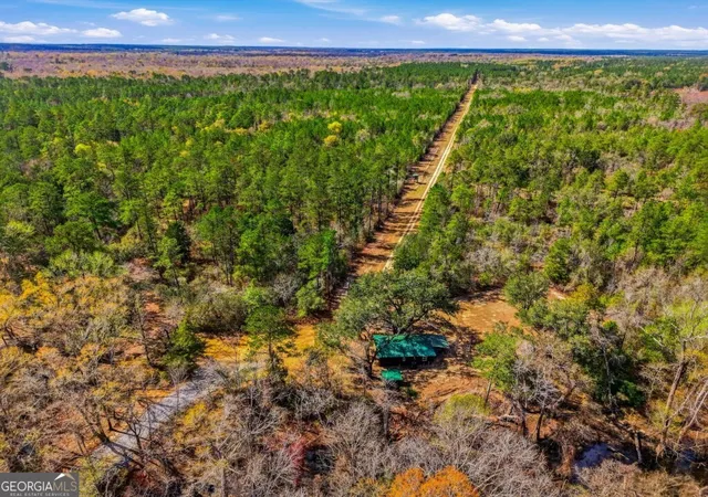Homes for sale in Reidsville, GA | 0 Rivers Edge Rd/Hwy 178, Reidsville, GA 30453 | MLS# 10732061
