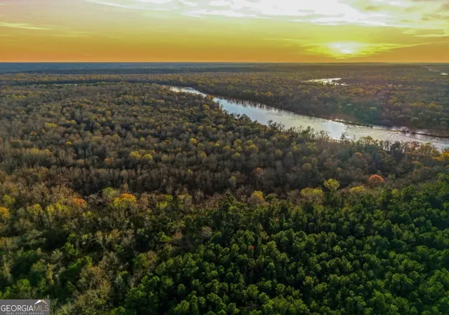 Homes for sale in Reidsville, GA | 0 Rivers Edge Rd/hwy 178, Reidsville, GA 30453 | MLS# 10732061