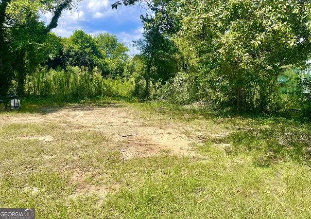 Photo 2 of Land for sale at 254 Forest Ave, Macon, GA 31201 | MLS# 10527800 | Listing updated on 2026-05-14