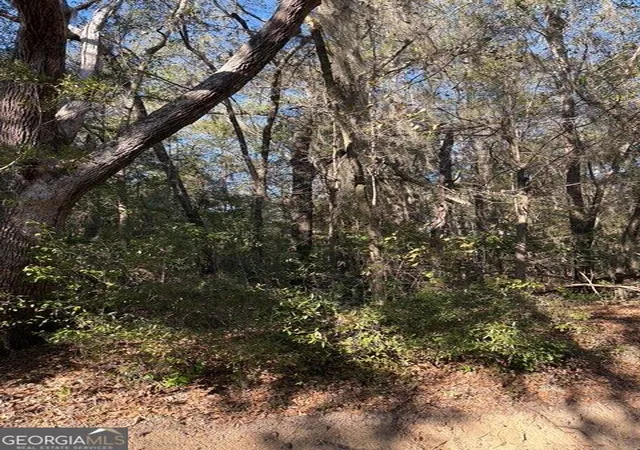 4th image of 0 Trade Hill Rd, Midway, GA 31320 | MLS# 10831424