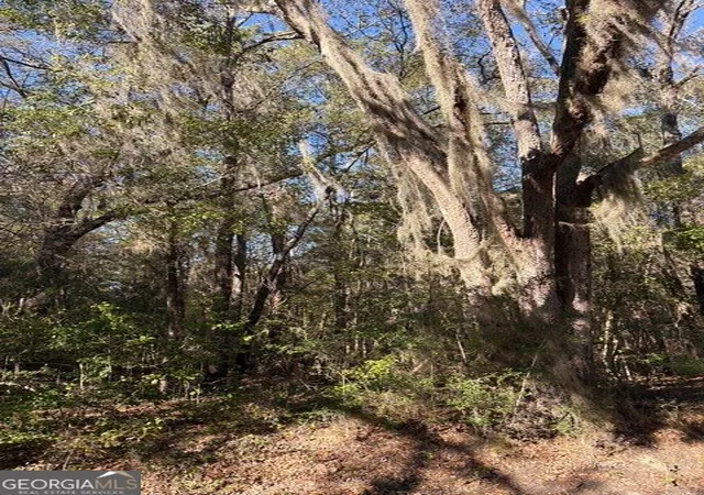 5th image of 0 Trade Hill Rd, Midway, GA 31320 | MLS# 10831424