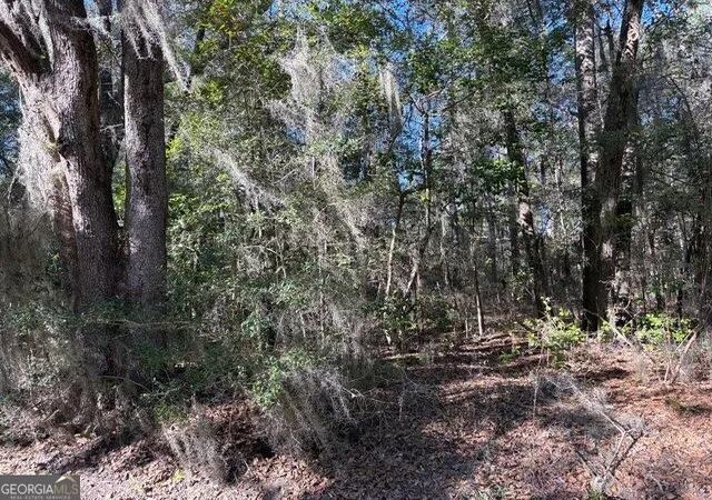 9th image of 0 Trade Hill Rd, Midway, GA 31320 | MLS# 10831424