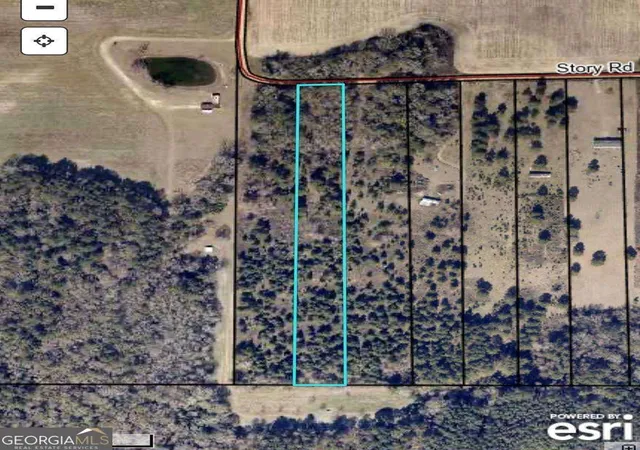 1st image of Tbd Story Rd Lot#2, Arabi, GA 31712 | MLS# 10774167