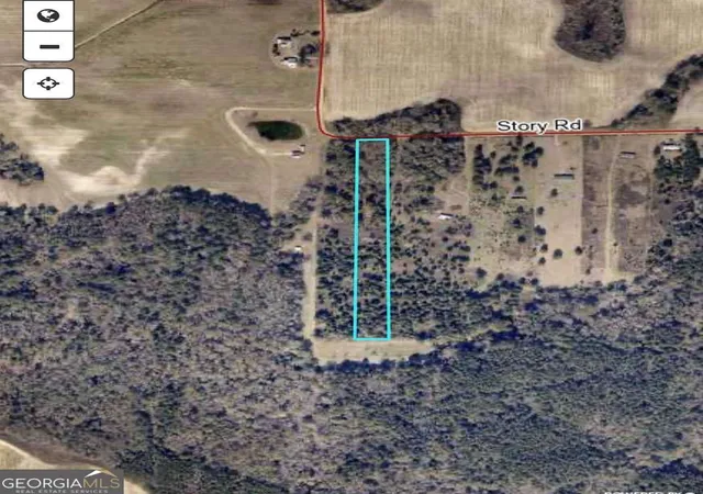 2nd image of Tbd Story Rd Lot#2, Arabi, GA 31712 | MLS# 10774167