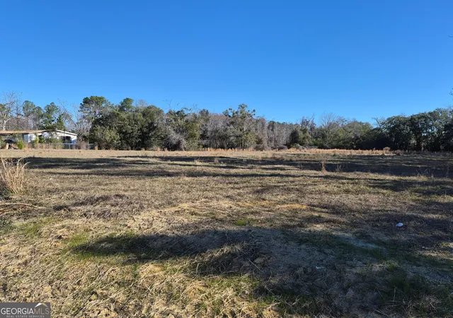 3rd image of 4162 Cat Creek Rd, Valdosta, GA 31605 | MLS# 10673617