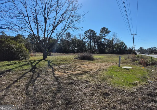 4th image of 4162 Cat Creek Rd, Valdosta, GA 31605 | MLS# 10673617