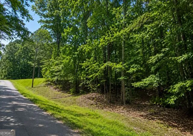 4th image of 0 Mcwhorter Cir, Bremen, GA 30110 | MLS# 10827646