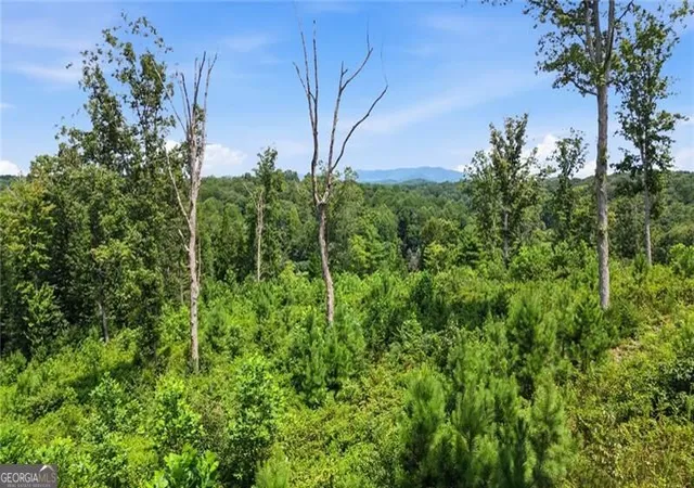 Photo 21 of Land for sale at 17 Mystic Dr, Ellijay, GA 30540 | MLS# 10823861 | Listing updated on 2026-09-13
