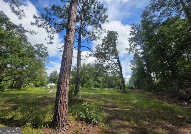 Photo 3 of Land for sale at 2301 Murphy Rd, Waynesville, GA 31566 | MLS# 10824757 | Listing updated on 2026-08-26