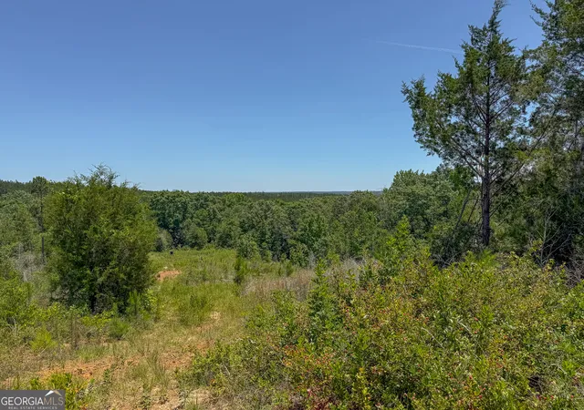 Homes for sale in Lumpkin, GA | 6687 Green Grove Road, Lumpkin, GA 31815 | MLS# 10785824