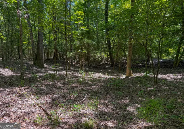 Homes for sale in Lumpkin, GA | 6687 Green Grove Road, Lumpkin, GA 31815 | MLS# 10785824