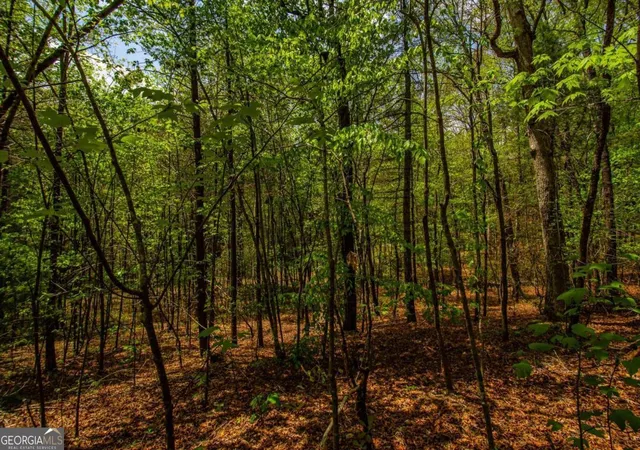 Photo 16 of Land for sale at 0 Antioch Valley Road Trct 1, Gainesville, GA 30506 | MLS# 10407427 | Listing updated on 2026-06-04
