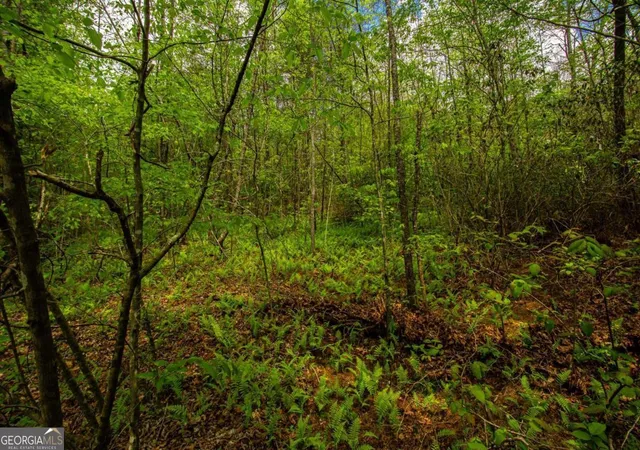 Photo 3 of Land for sale at 0 Antioch Valley Road Trct 1, Dawsonville, GA 30534 | MLS# 10407427 | Listing updated on 2026-09-22
