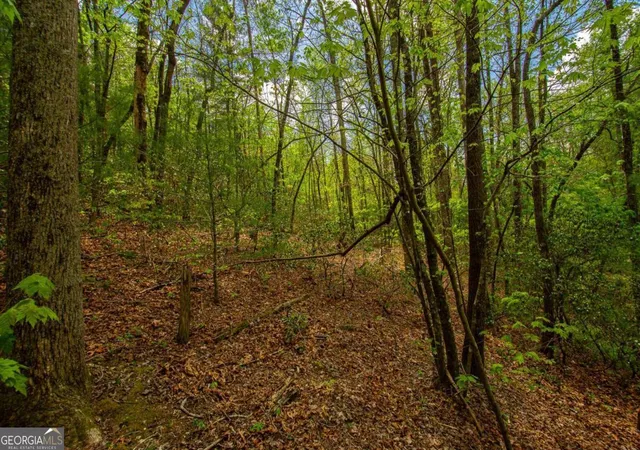 Photo 3 of Land for sale at 0 Antioch Valley Road Trct 1, Dawsonville, GA 30534 | MLS# 10407427 | Listing updated on 2026-09-22