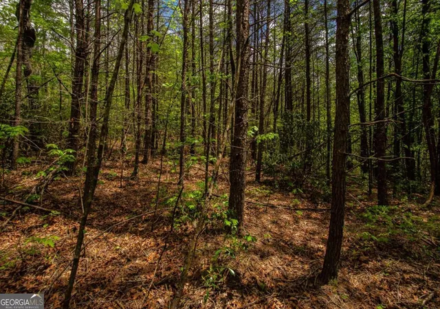 Photo 4 of Land for sale at 0 Antioch Valley Road Trct 1, Dawsonville, GA 30534 | MLS# 10407427 | Listing updated on 2026-09-22