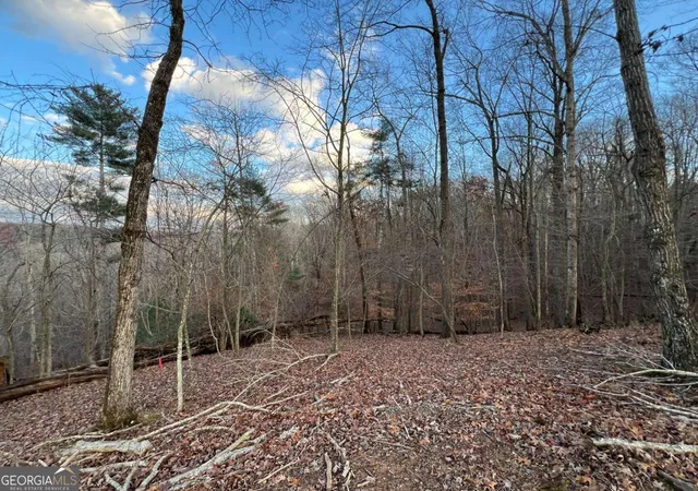 Photo 1 of Land for sale at Lot 403 Crown Ct, Ellijay, GA 30540 | MLS# 10821749 | Listing updated on 2026-09-15
