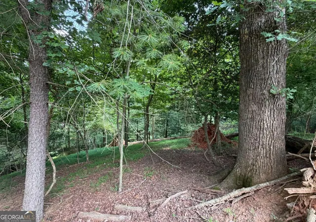 Photo 2 of Land for sale at Lot 403 Crown Ct, Ellijay, GA 30540 | MLS# 10821749 | Listing updated on 2026-09-15