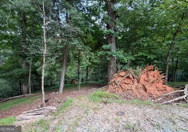 Photo 2 of Land for sale at Lot 403 Crown Ct, Ellijay, GA 30540 | MLS# 10821749 | Listing updated on 2026-09-15