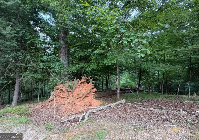 Photo 3 of Land for sale at Lot 403 Crown Ct, Ellijay, GA 30540 | MLS# 10821749 | Listing updated on 2026-09-15