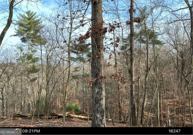 Photo 5 of Land for sale at Lot 403 Crown Ct, Ellijay, GA 30540 | MLS# 10821749 | Listing updated on 2026-09-15