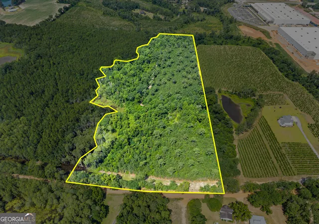 Homes for sale in Register, GA | 0 Jo Dan Rd, Register, GA 30452 | MLS# 10804198