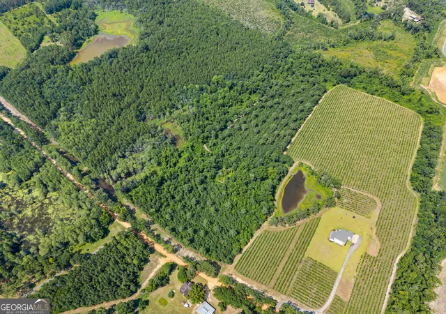 Homes for sale in Register, GA | 0 Jo Dan Rd, Register, GA 30452 | MLS# 10804198
