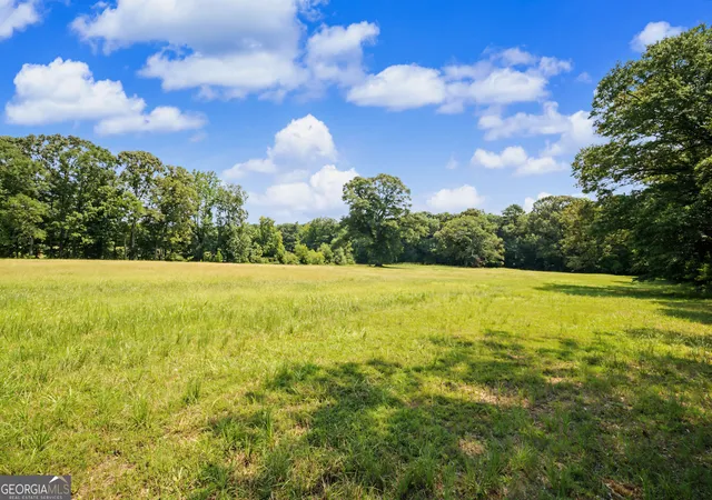 Photo 21 of Sale Pending at 58 Acres Rising Star Rd, Brooks, GA 30205 | MLS# 10814496 | Listing updated on 2026-08-04