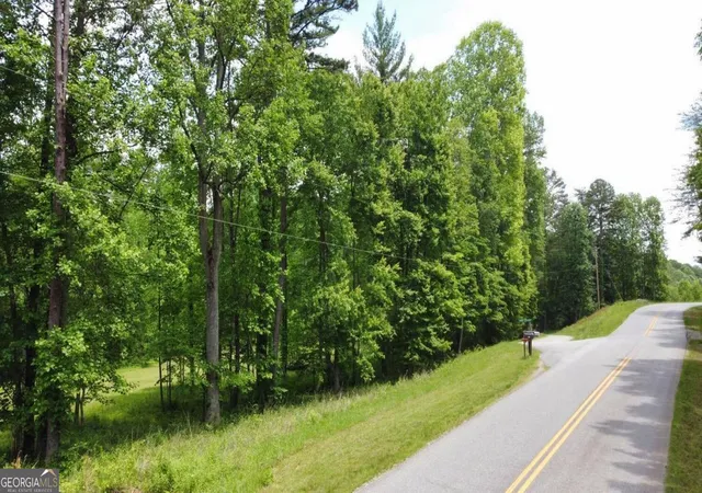 Photo 3 of Land for sale at Tract 2 Timber Ridge Rd, Blairsville, GA 30512 | MLS# 10528882 | Listing updated on 2026-05-31