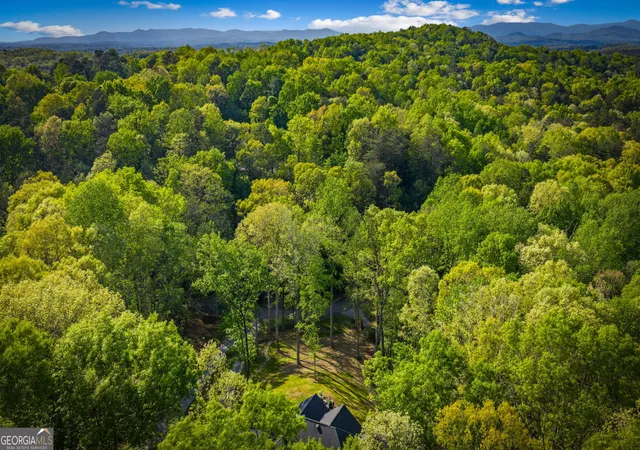 66th image of 164 Stegall Dr, Ellijay, GA 30536 | MLS# 10738064