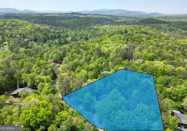 Homes for sale in Mineral Bluff, GA | 215 The Woods Rd, Mineral Bluff, GA 30559 | MLS# 10759658