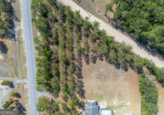 Homes for sale in Hortense, GA | 0 Hwy 110 (202 Acres) W, Hortense, GA 31543 | MLS# 10720448