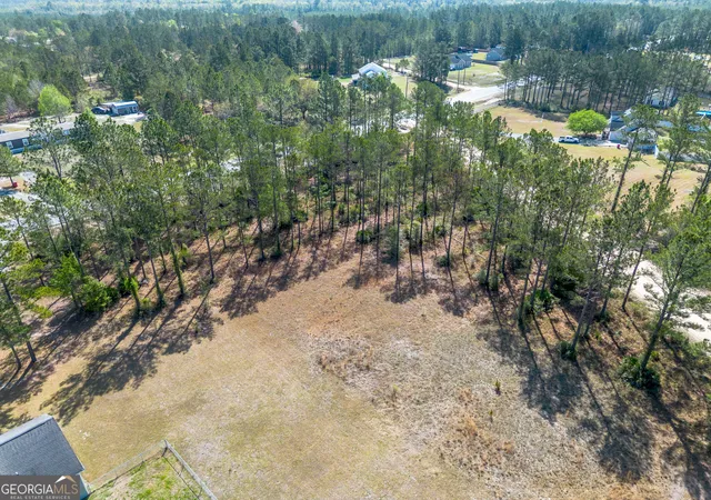 Homes for sale in Hortense, GA | 0 Hwy 110 (202 Acres) W, Hortense, GA 31543 | MLS# 10720448