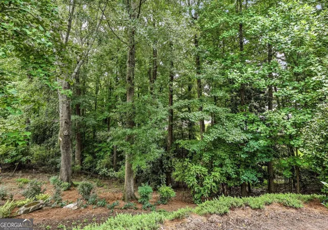 66th image of 860 Candler St #9, Gainesville, GA 30501 | MLS# 10800549