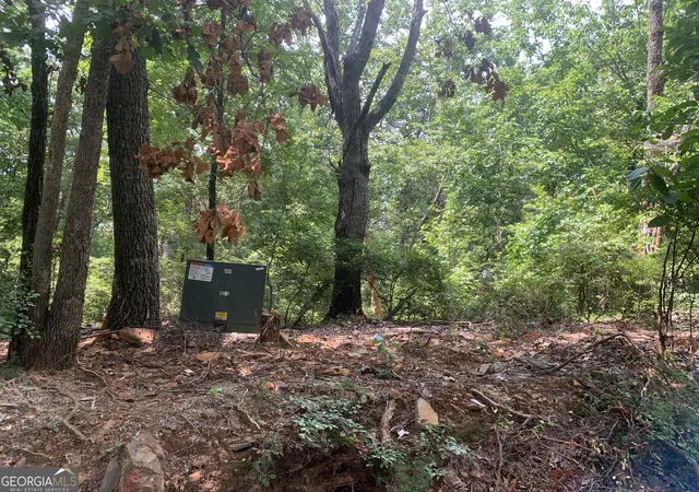 28th image of 0 Grant Smith, Summit Ridge, Etc, Toccoa, GA 30577 | MLS# 10826840