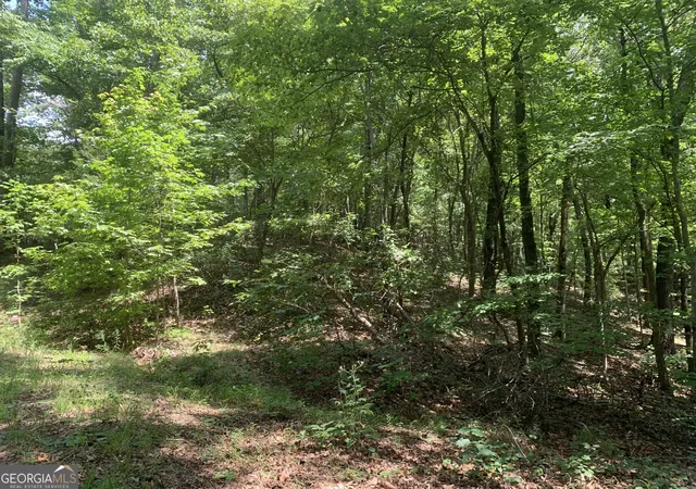 Photo 3 of Land for sale at 0 Grant Smith, Summit Ridge, Etc, Toccoa, GA 30577 | MLS# 10826840 | Listing updated on 2026-08-29