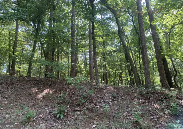 Photo 4 of Land for sale at 0 Grant Smith, Summit Ridge, Etc, Toccoa, GA 30577 | MLS# 10826840 | Listing updated on 2026-08-29