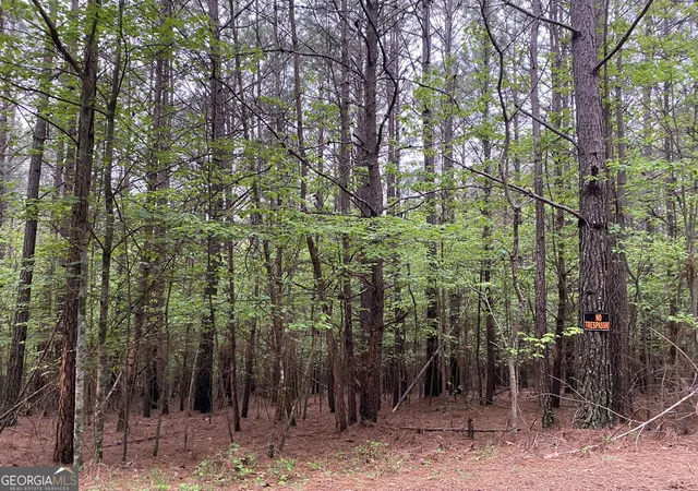Photo 3 of Land for sale at 0 Mull Dr, Mineral Bluff, GA 30559 | MLS# 10758032 | Listing updated on 2026-08-29
