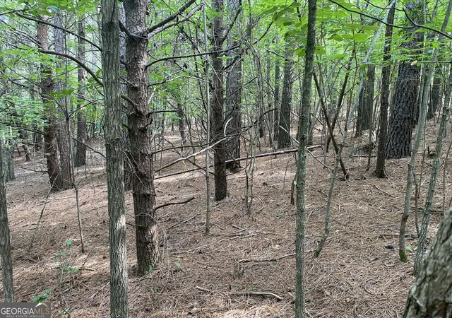 Photo 4 of Land for sale at 0 Mull Dr, Mineral Bluff, GA 30559 | MLS# 10758032 | Listing updated on 2026-10-08