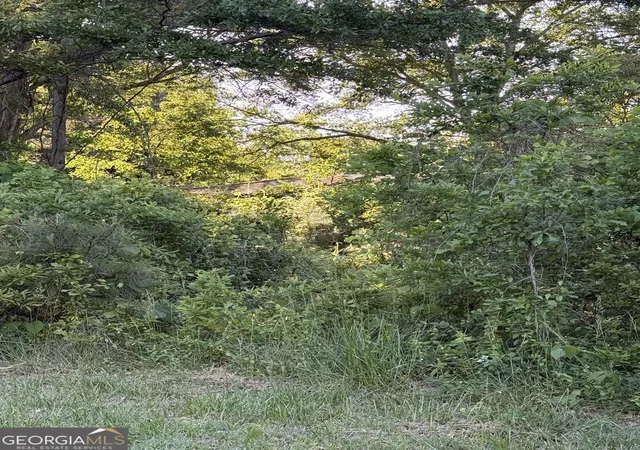 Photo 3 of Land for sale at 217 S Broad St, Winder, GA 30680 | MLS# 10738155 | Listing updated on 2026-09-29