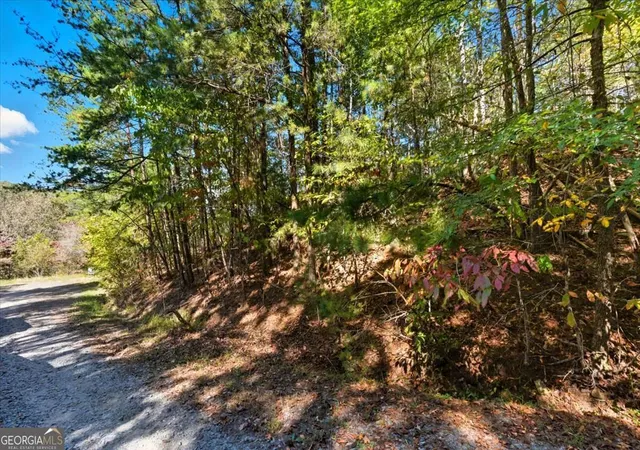 4th image of 1666 Hunter Dr, Ranger, GA 30734 | MLS# 10804286