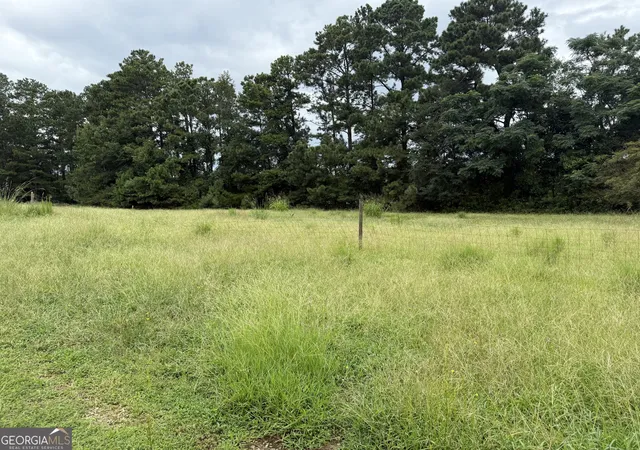 2nd image of 0 Cannon Rd, Sharpsburg, GA 30277 | MLS# 10819736