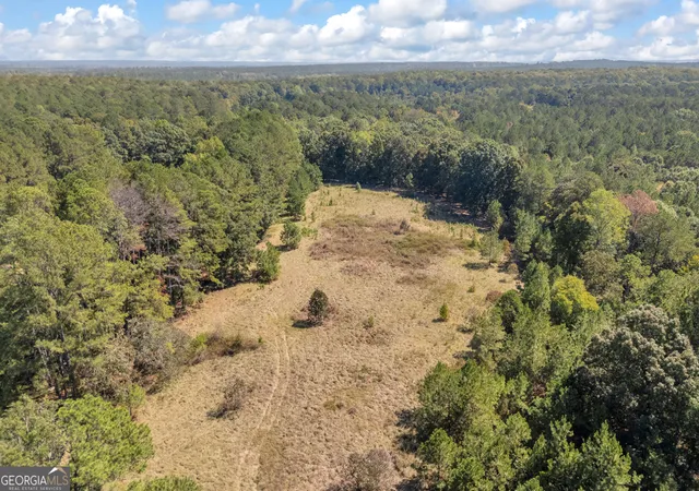 Land for sale at 0 Ham Frk Rd, Union Point, GA 30669 | MLS# 10878989